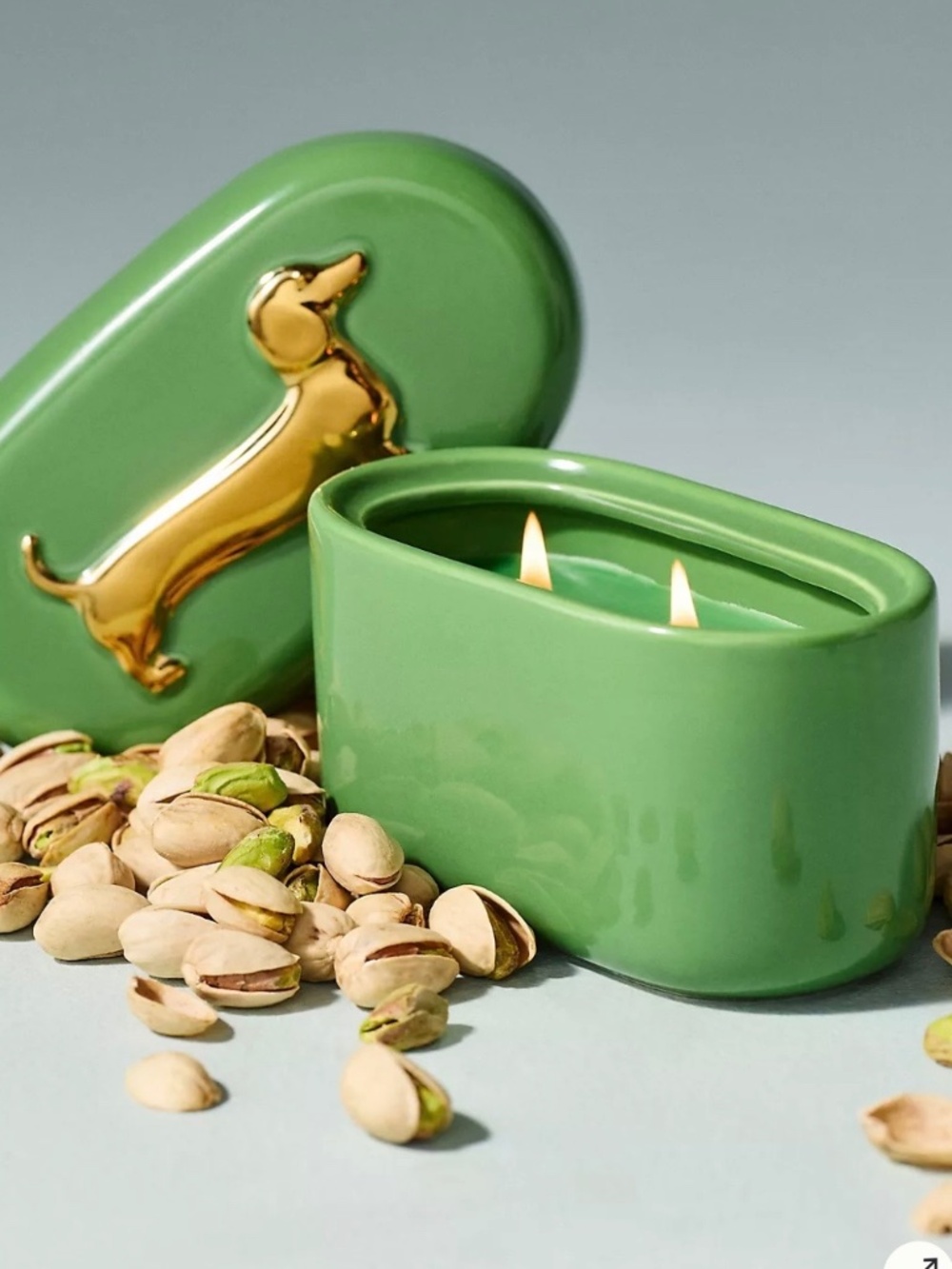 Anthropologie "Dachshund Gourmand Pistachio Ceramic Candle" NWT